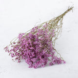 Limonium, Dried, Natural Light Pink, 60cm