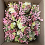 Bucket, Wildflower Bunches, Dried, Yellow Pink