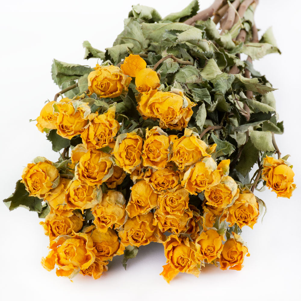 yellow spray roses