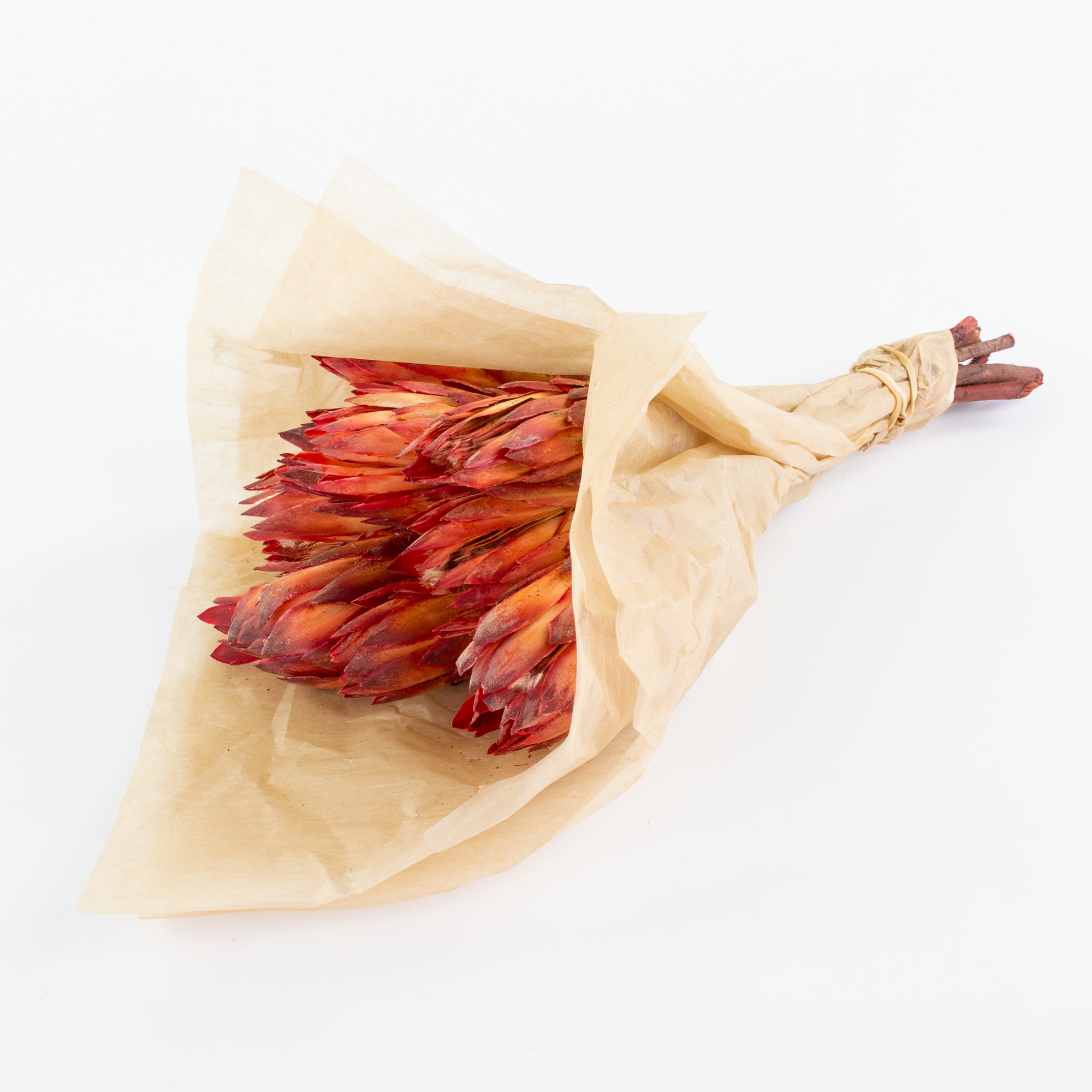 This is an image of a bunch of natural red protea repens pendula