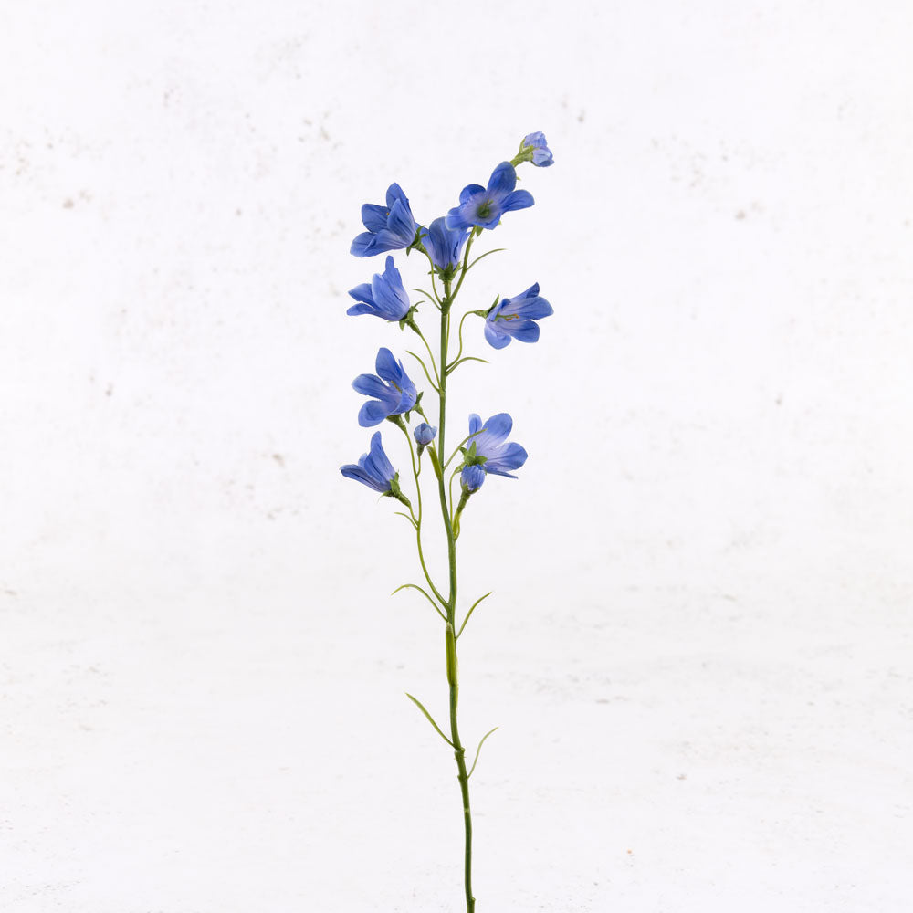 Campanula, Blue, 66cm