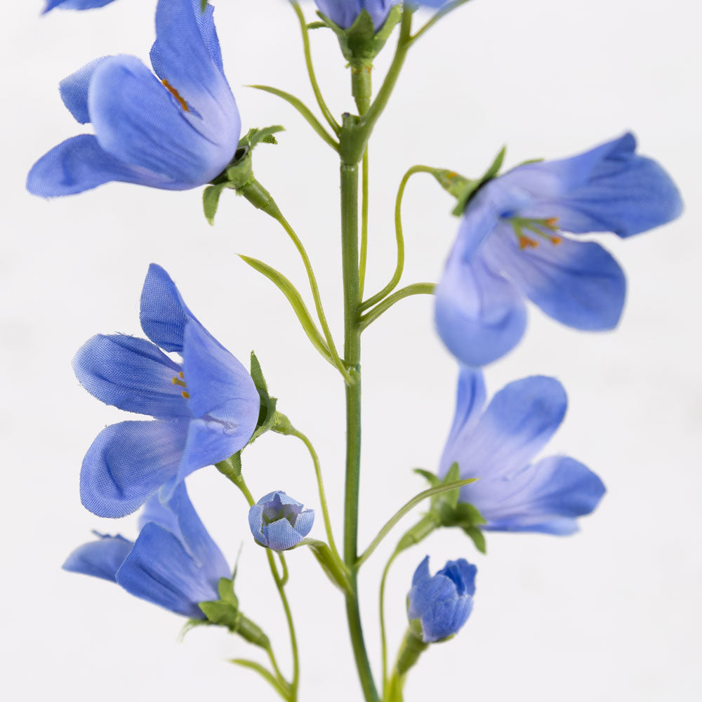 Campanula, Blue, 66cm