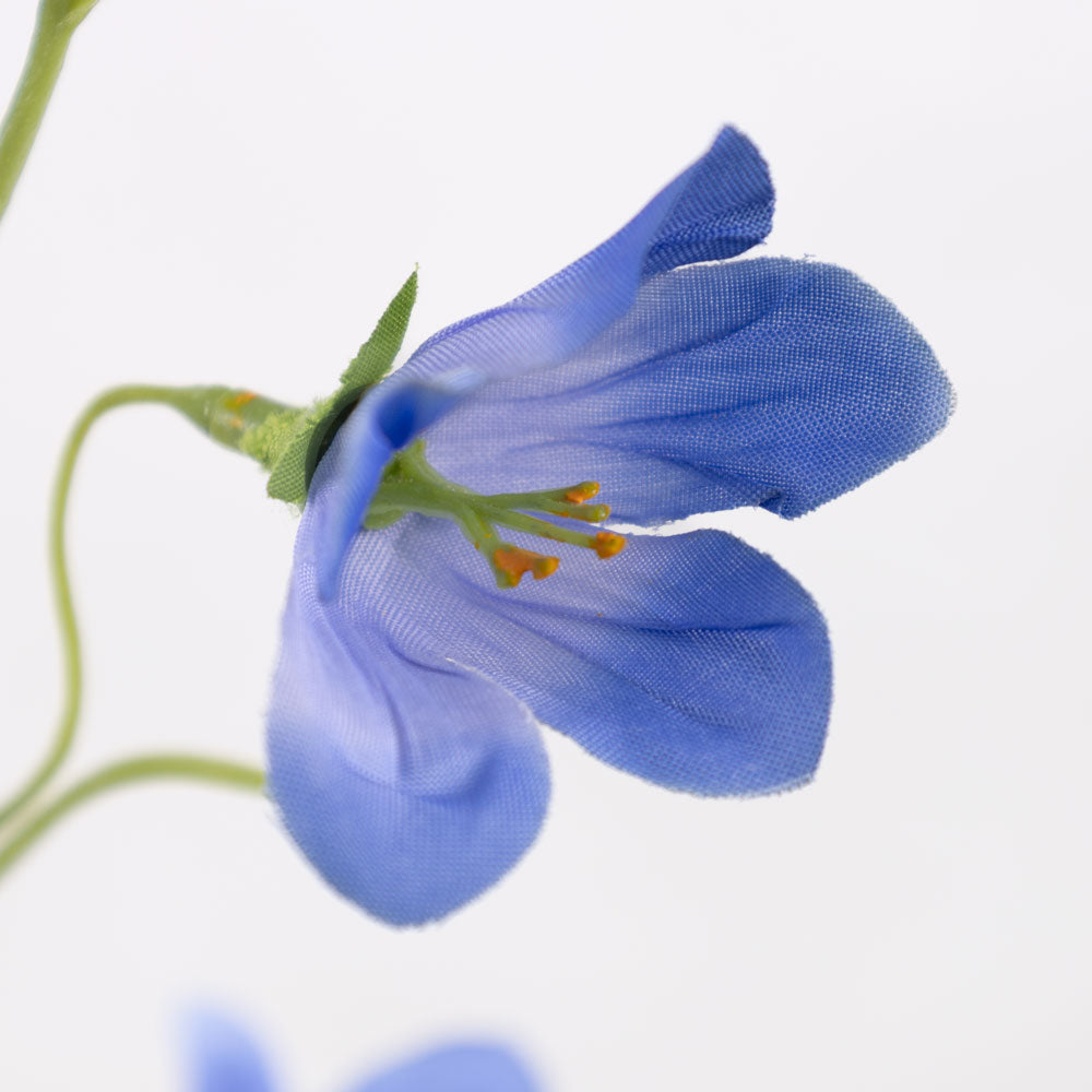 Campanula, Blue, 66cm