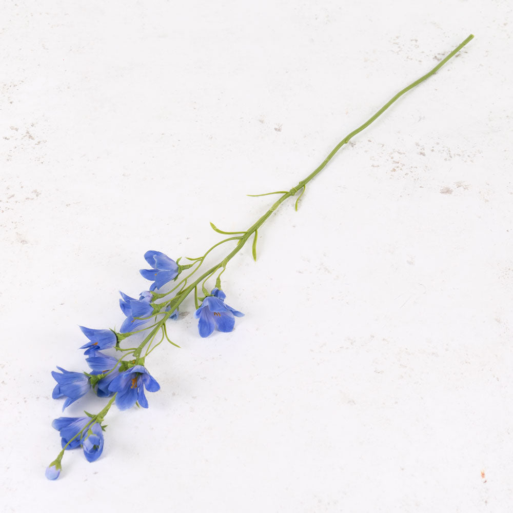 Campanula, Blue, 66cm