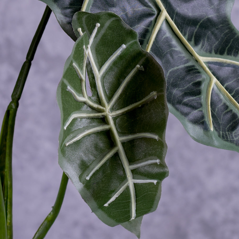 A faux Allocasia plant, focusing on leaf detail