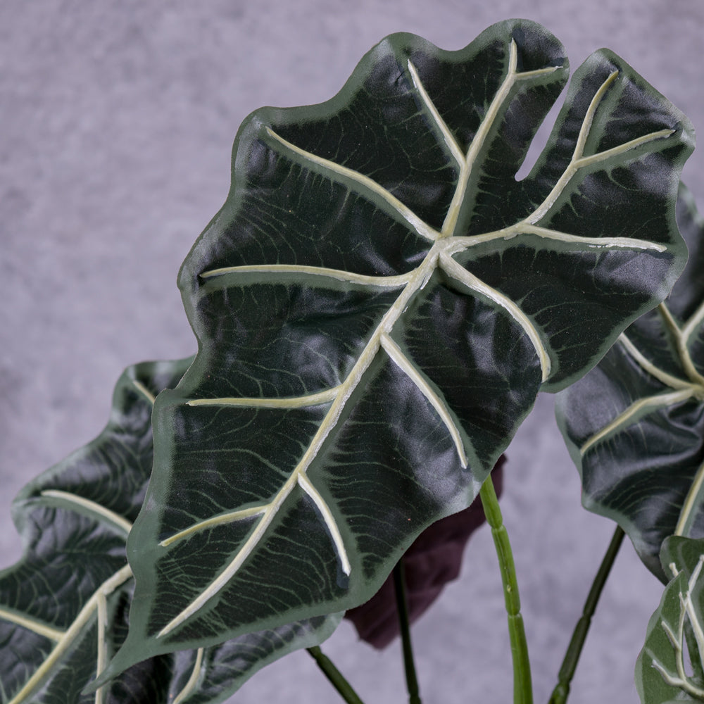 A faux Allocasia plant, focusing on leaf detail