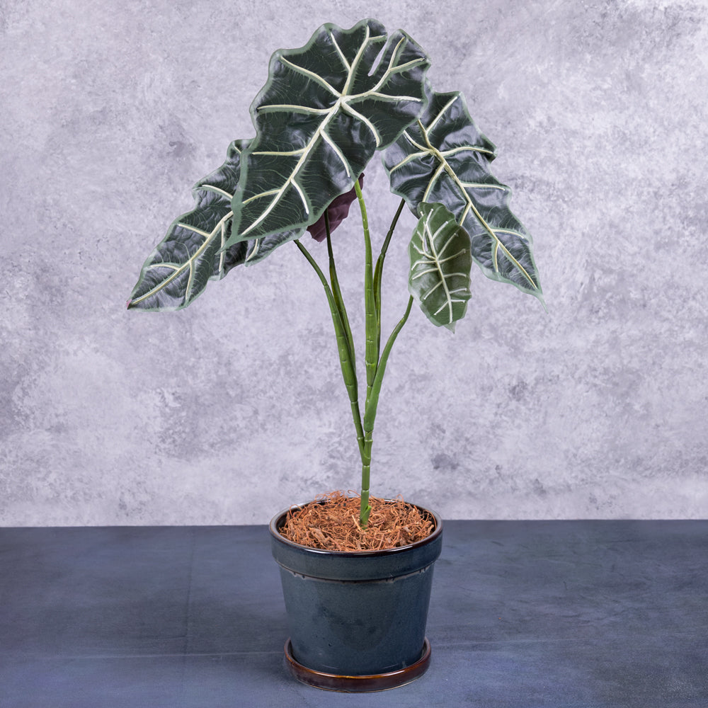 A faux Allocasia plant in an airforce blue pot,