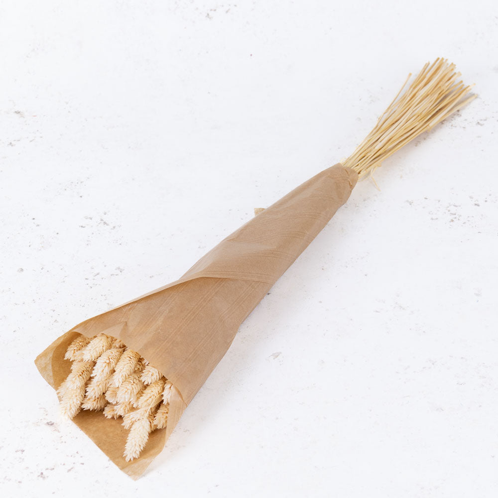 Phalaris, (Canary Grass), Bleached White, 100g