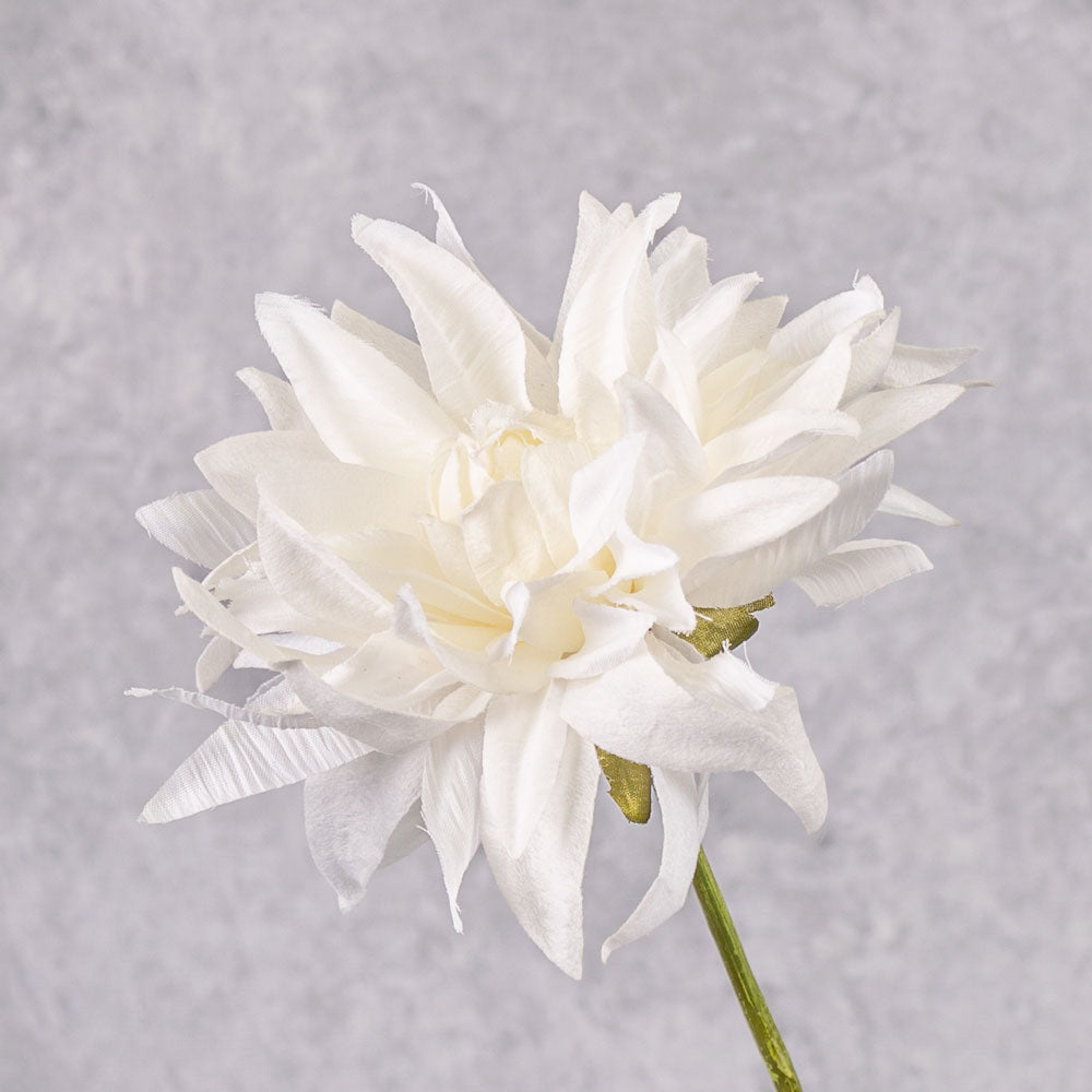 Dahlia, Summer Breeze, Cream, 53cm