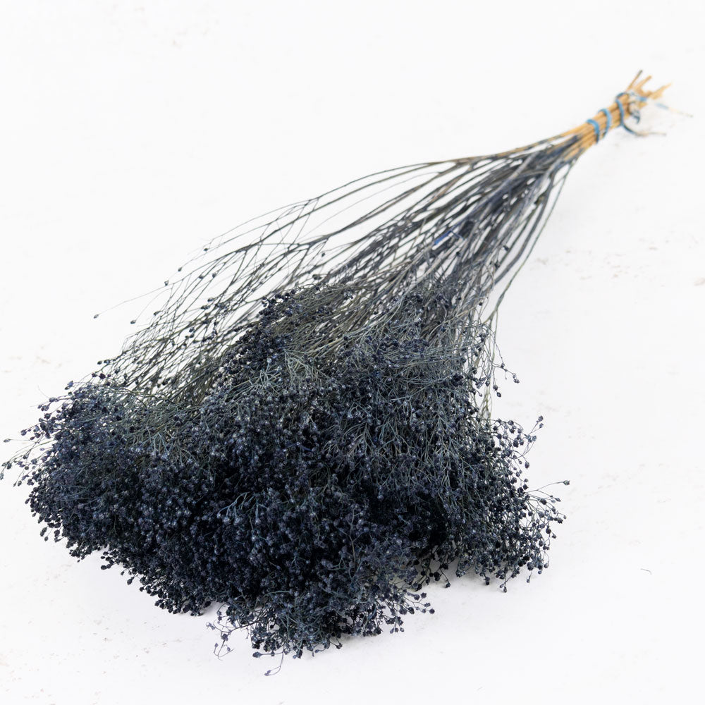 Broom Bloom, Dried, Dark Blue