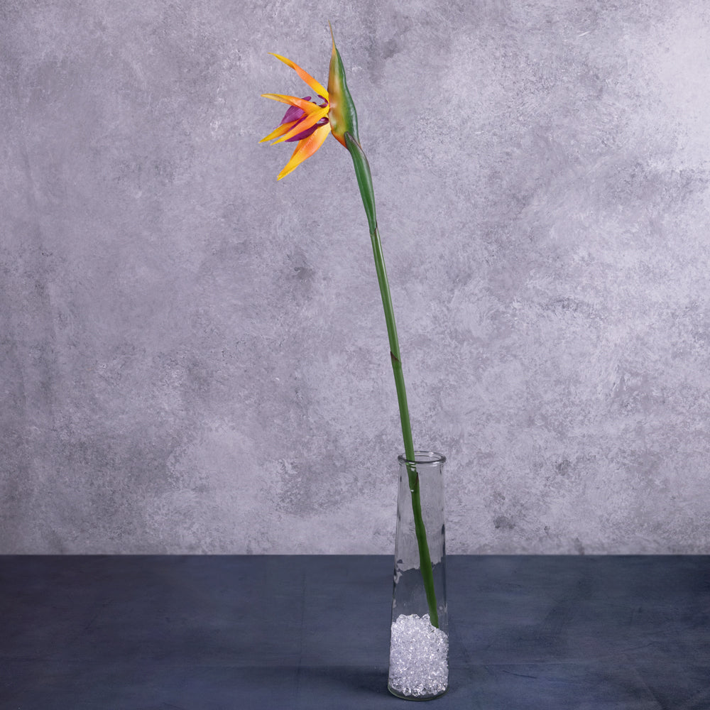 Faux Strelitzia or Bird of Paradise