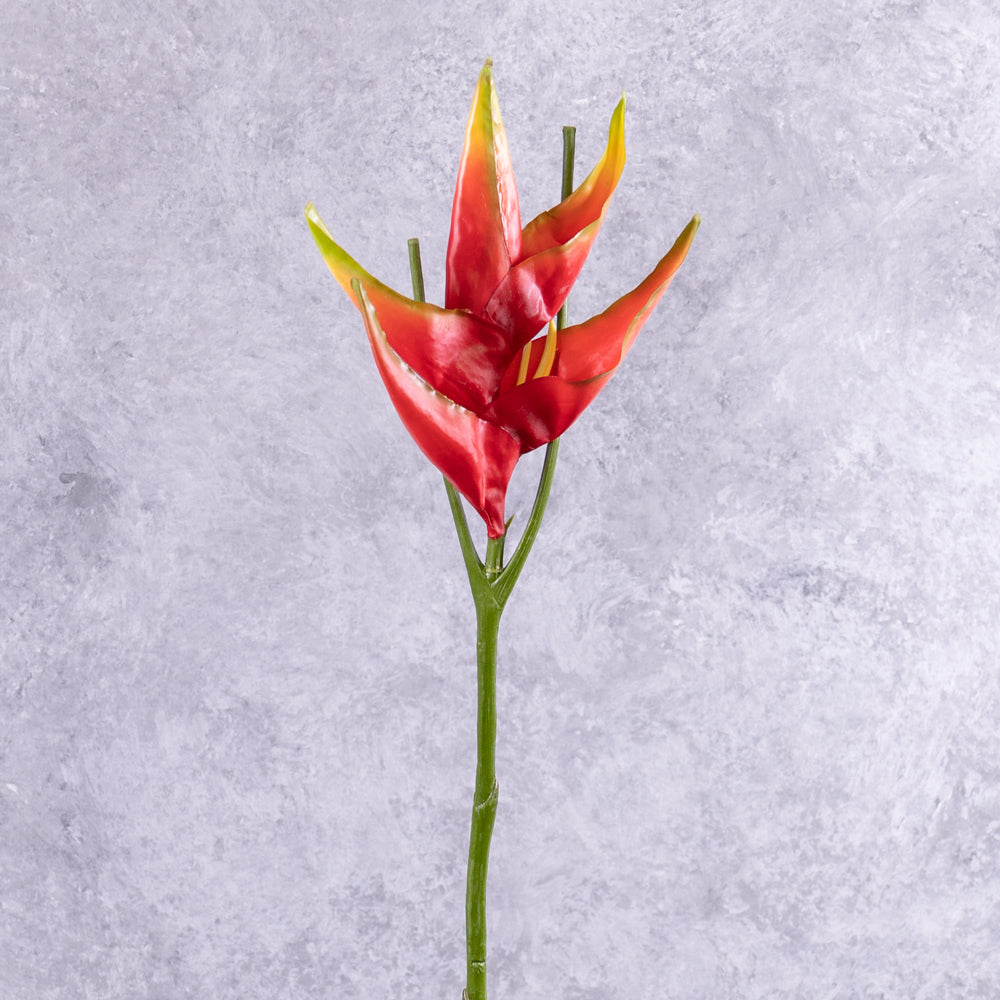 An artificial heliconium flower in bright red, displayed in a clear glass vase