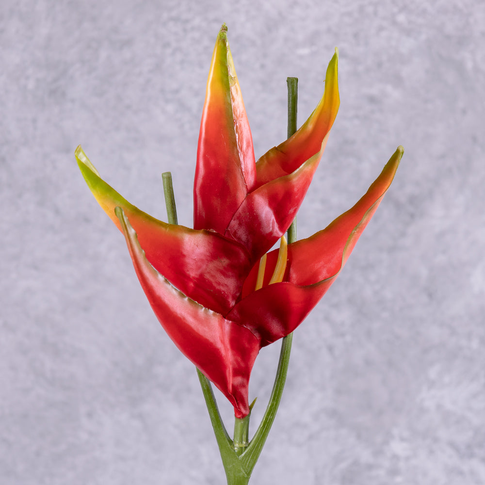 A close up of an artificial heliconium flower in bright red