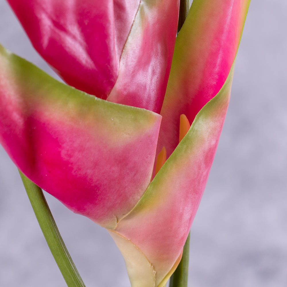 A close up of an artificial heliconium flower in bright pink