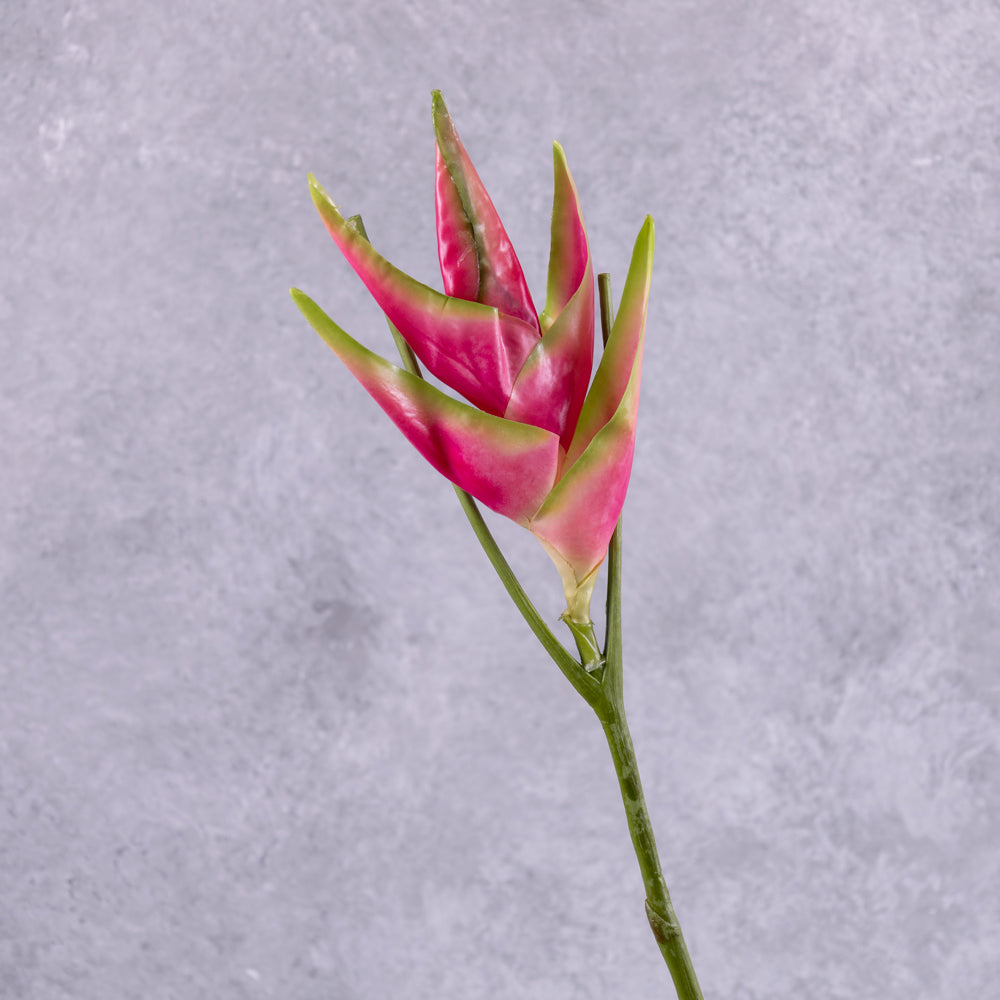 A close up of an artificial heliconium flower in bright pink