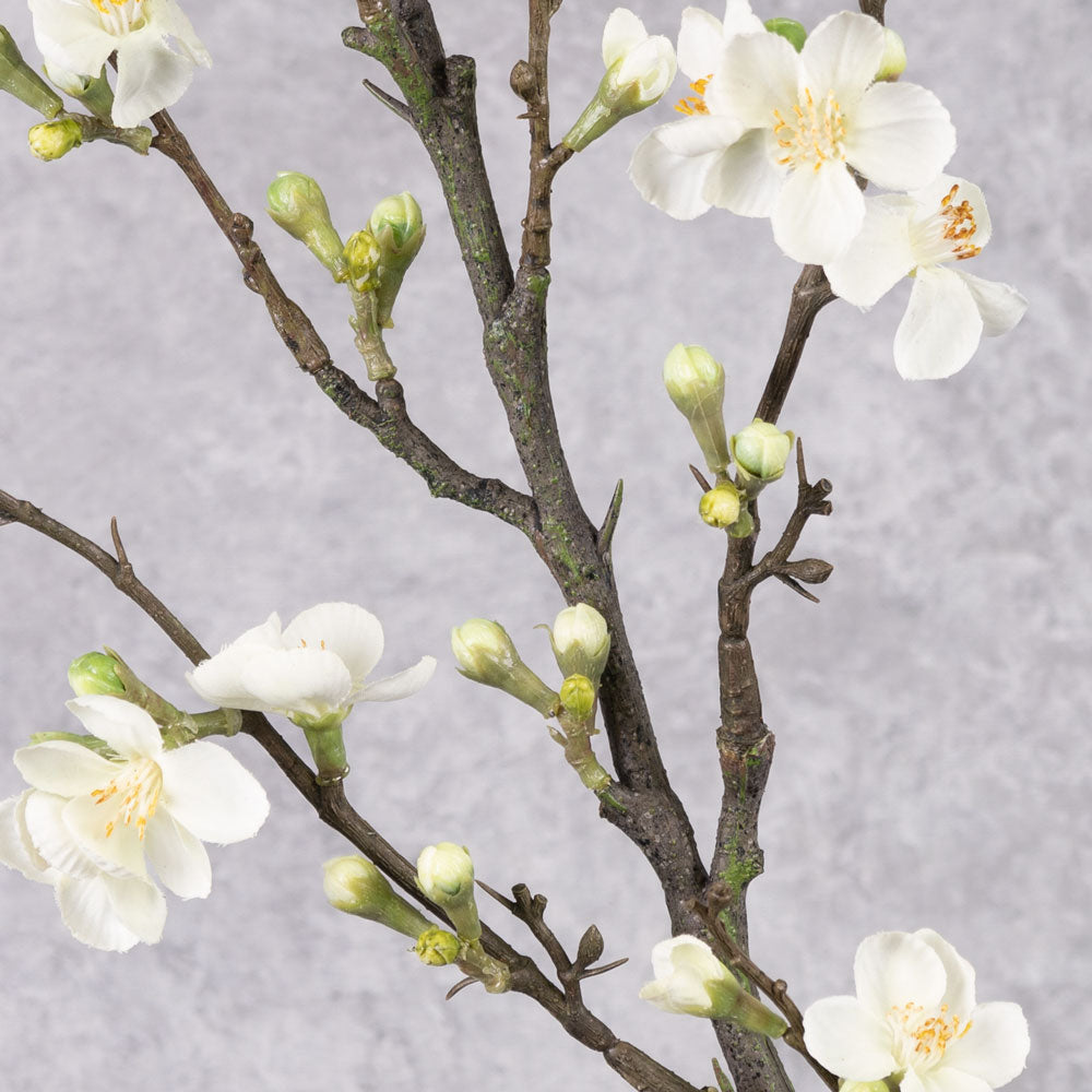 Blossom - Quince, Cream, 86cm