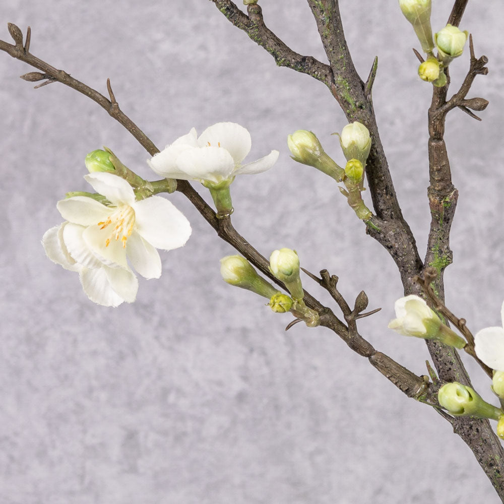 Blossom - Quince, Cream, 86cm