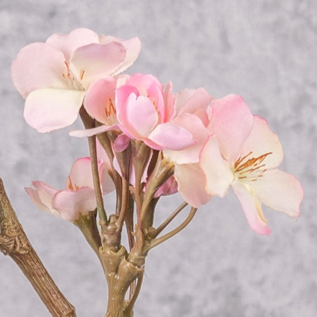 Blossom - Apple, Light Pink, 36cm