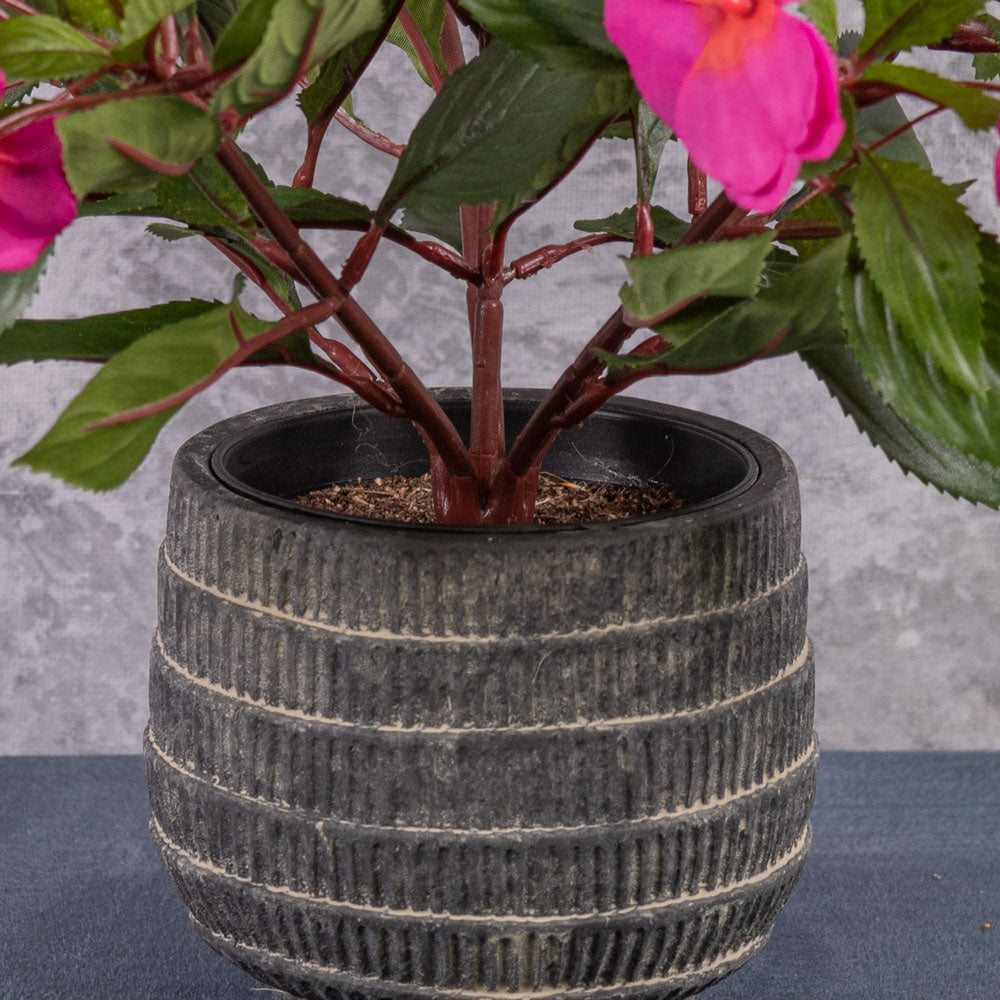 Impatiens Bush, Cerise Pink, 25cm