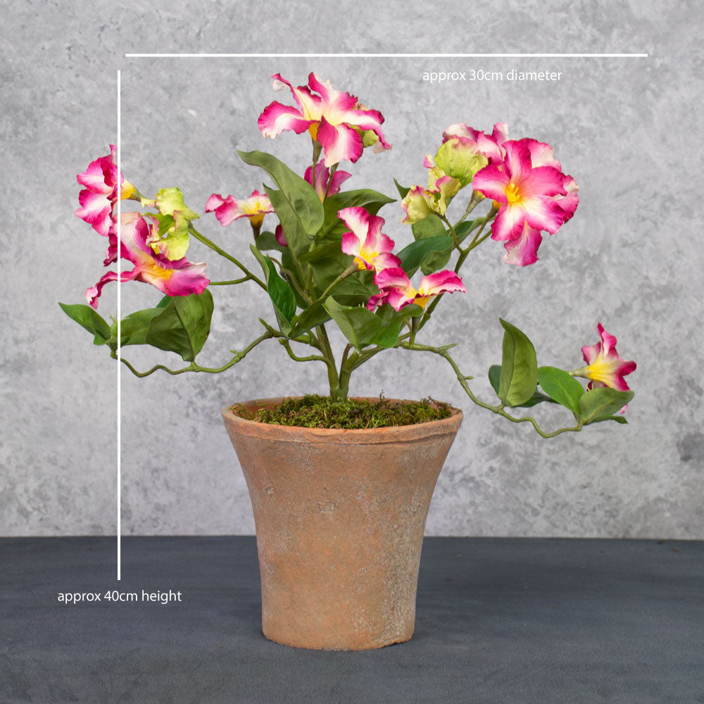 Petunia, Pink, Faux, 40cm