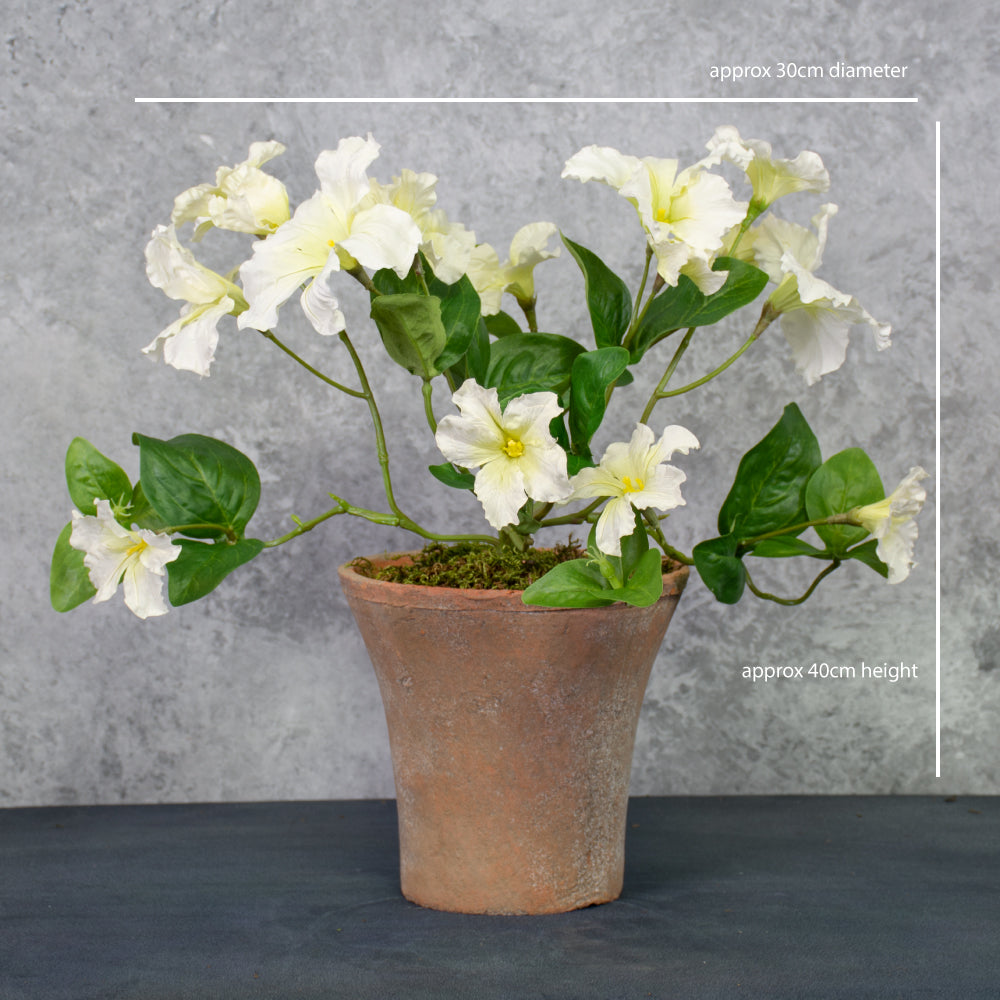 Petunia, White, Faux, 40cm
