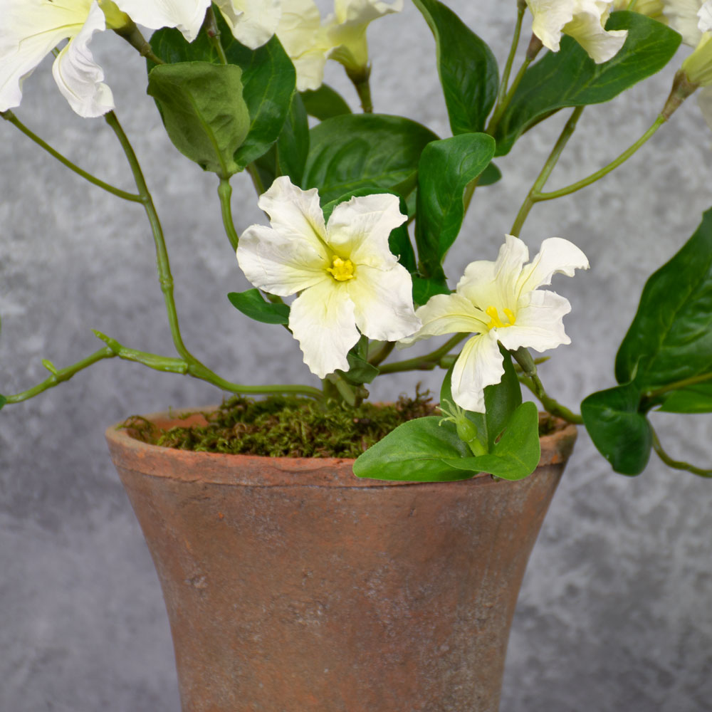 Petunia, White, Faux, 40cm