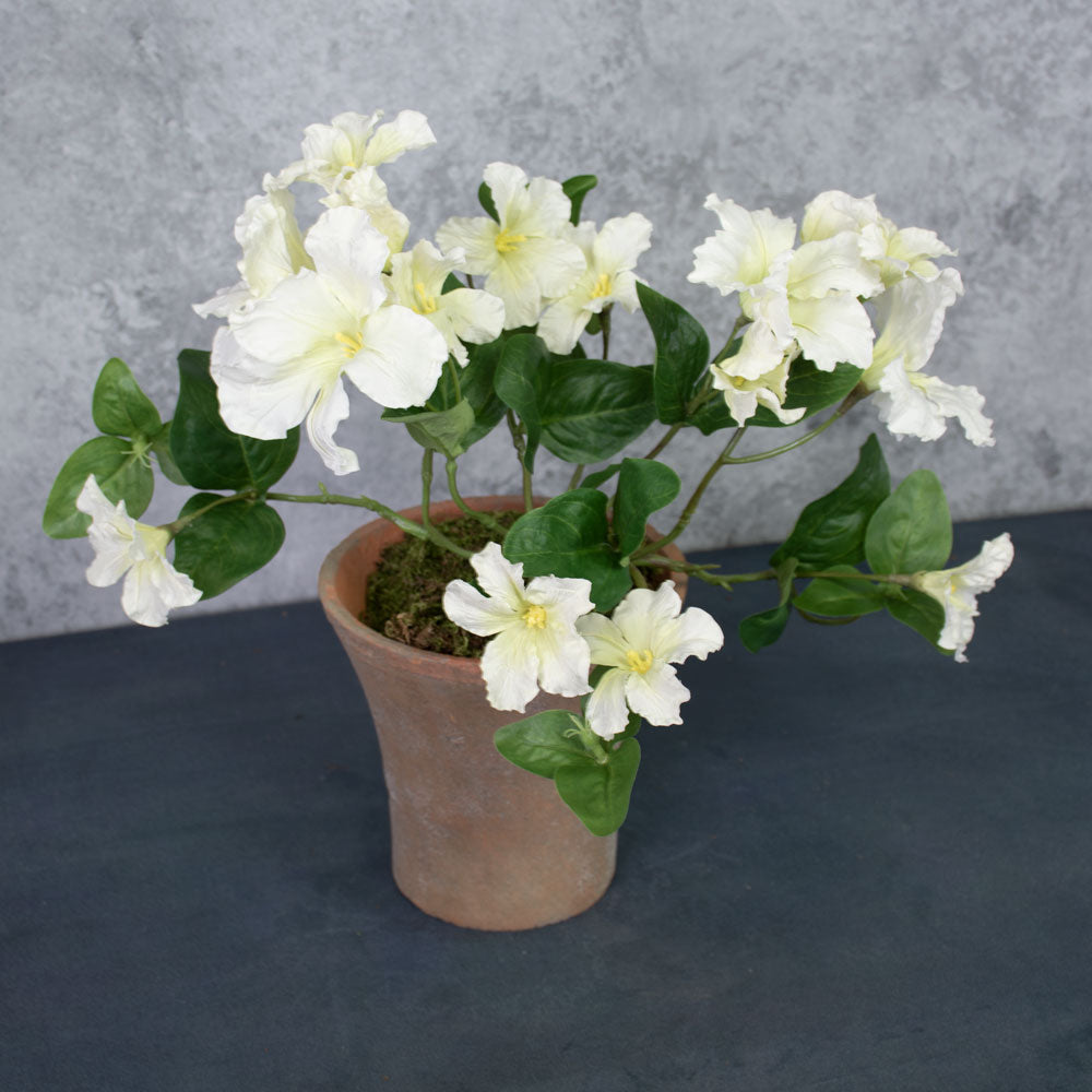 Petunia, White, Faux, 40cm