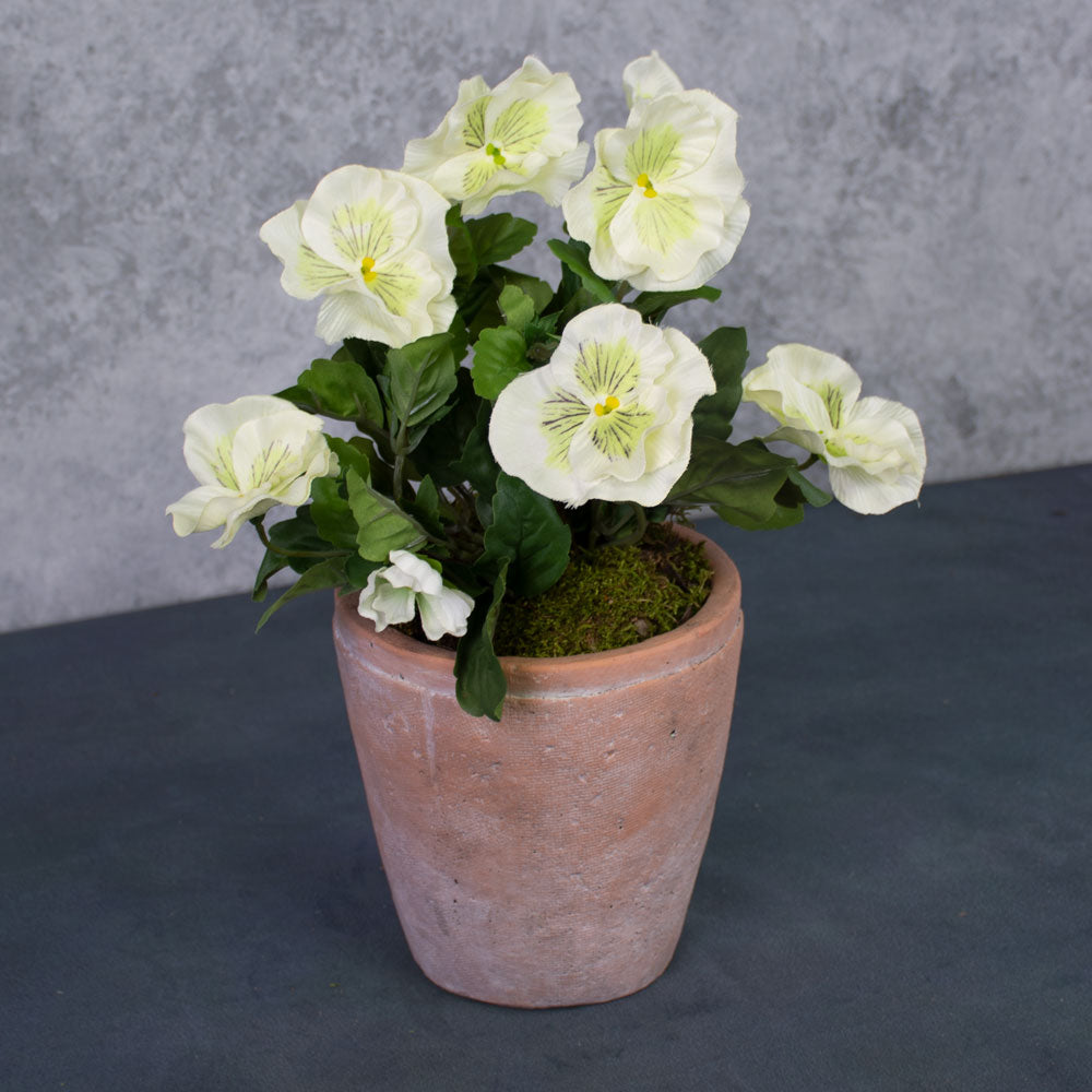 Pansy Bush, White, 28cm