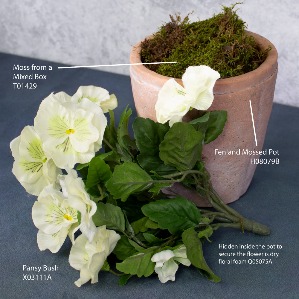 Pansy Bush, White, 28cm