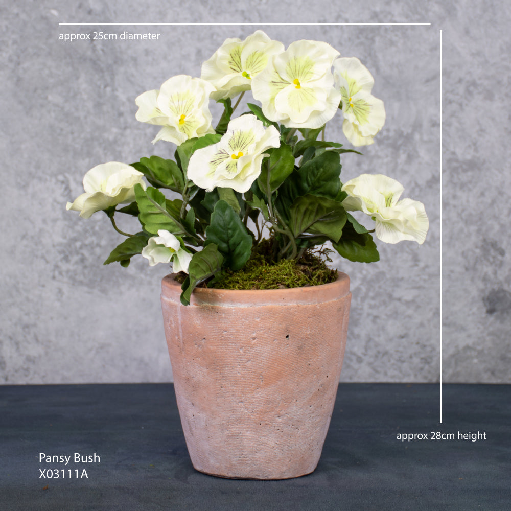 Pansy Bush, White, 28cm
