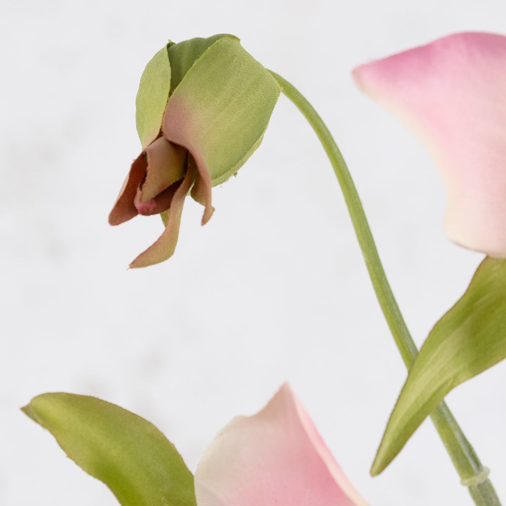 Trillium, Pink, 40cm