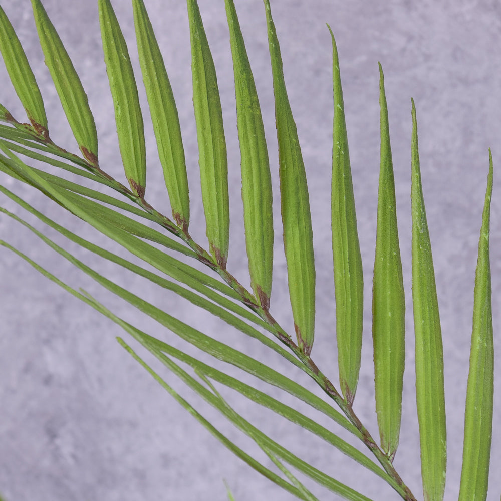 A faux Areca plantleaf in detail