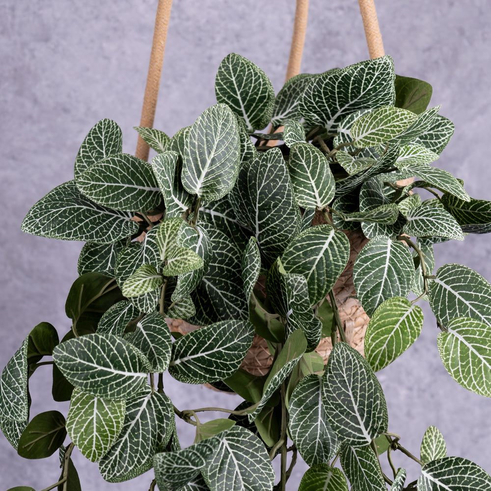 Artificial Fittonia Bush, 75cm FR UV