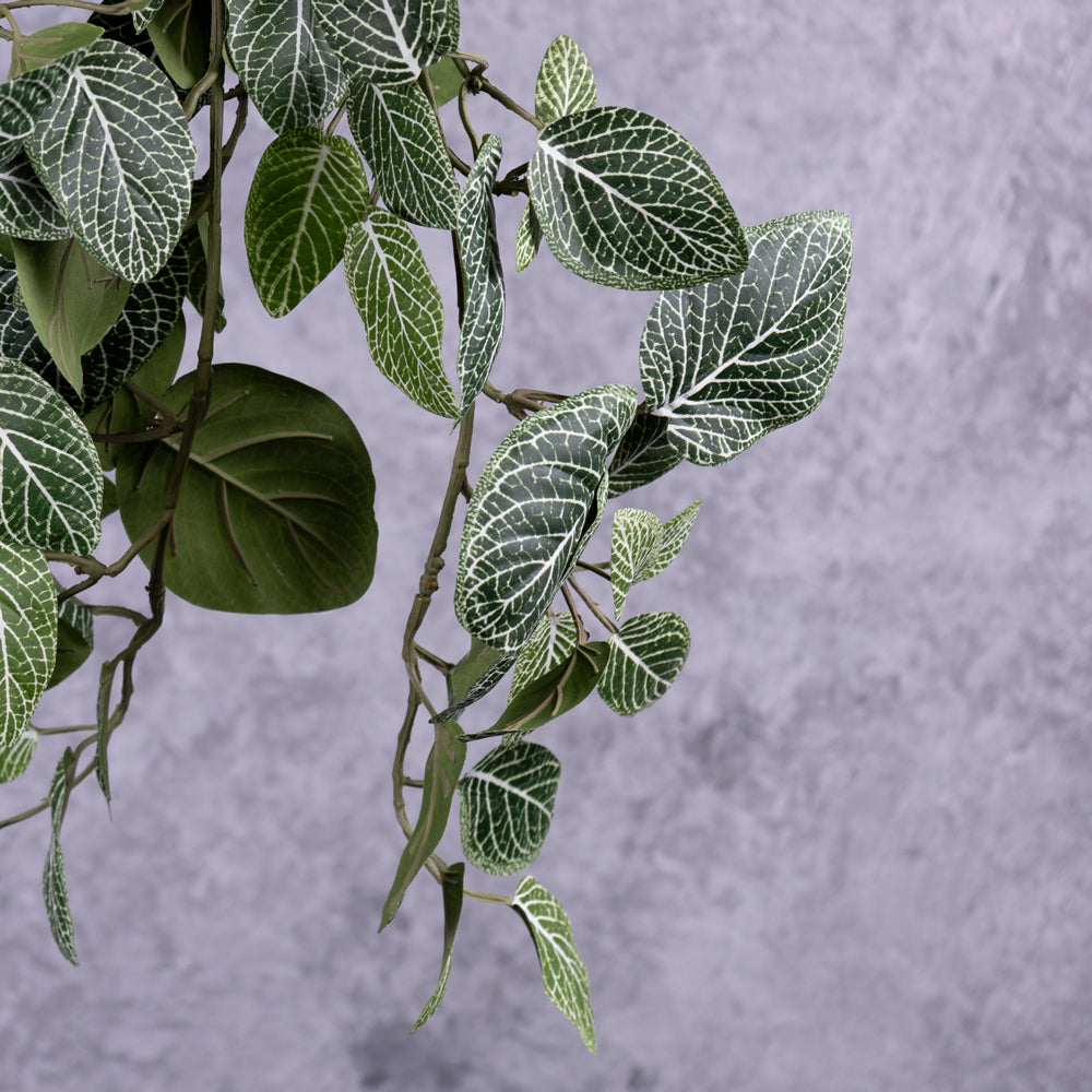 Artificial Fittonia Bush, 75cm FR UV