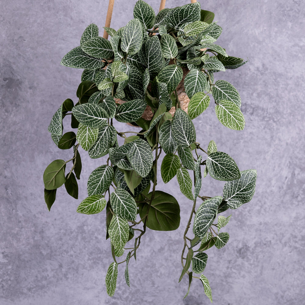Artificial Fittonia Bush, 75cm FR UV