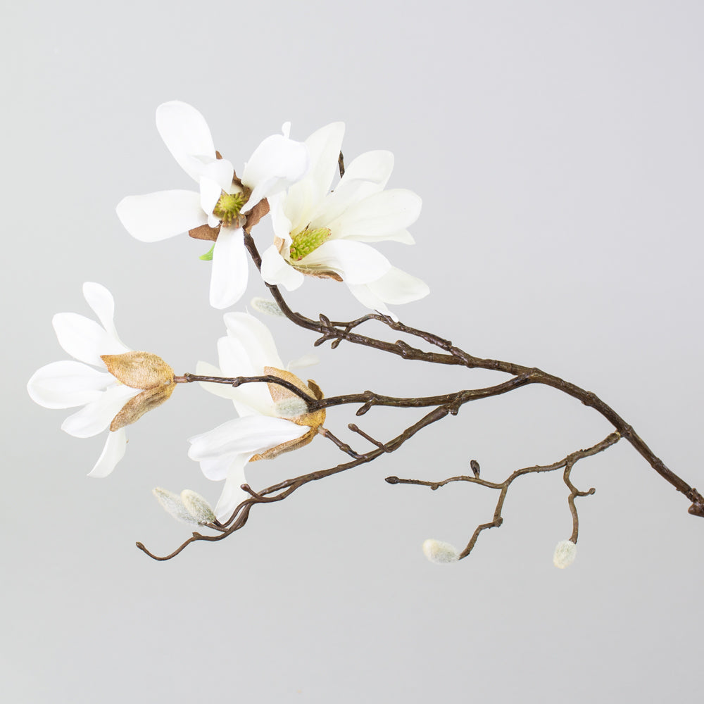 Blossom - Magnolia Stellata, Cream, 96.5cm
