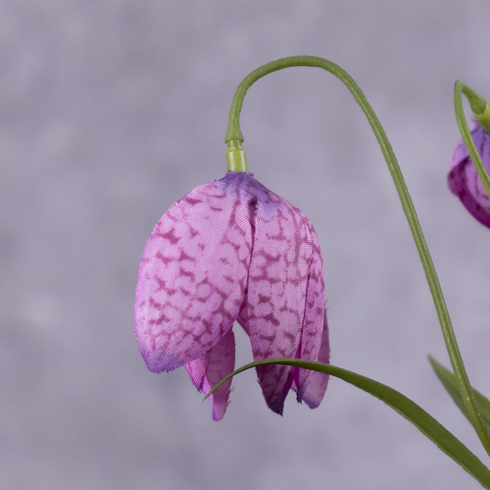 Close up image of a faux snake's head flower in purple