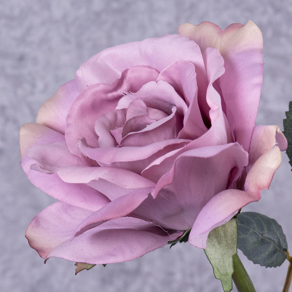 Rose Vintage, Lilac, 31cm, Faux