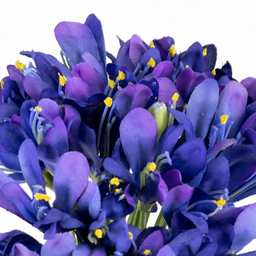 Agapanthus Stem, Dark Blue, 68cm