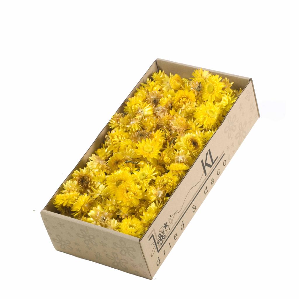 Helichrysum Heads Yellow, 100g