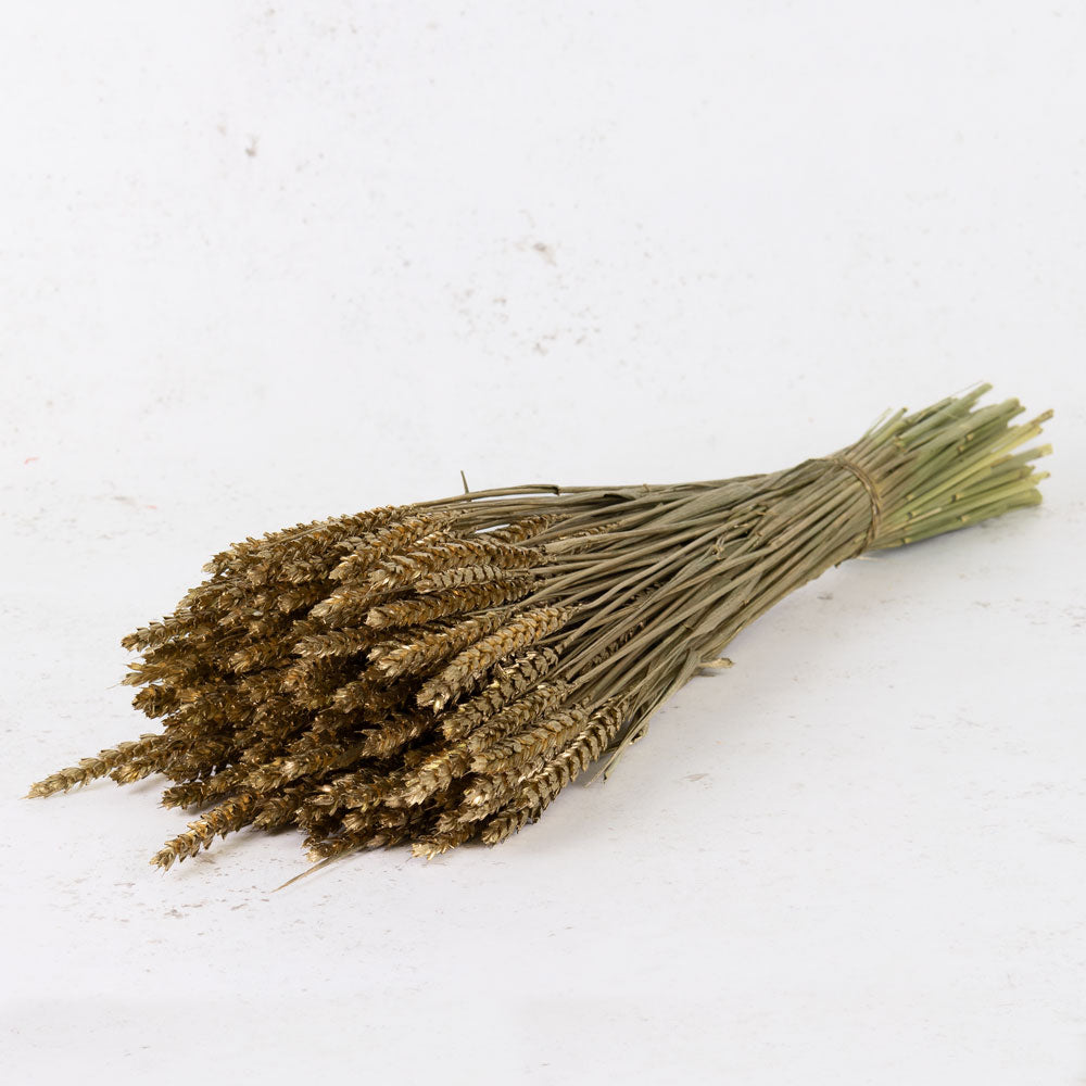 Wheat-Tarwe-Metallic-Gold-Bunch