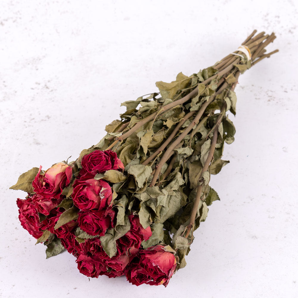 Rose Bright Torch, Dried, Natural Dark Red x 20 Stems