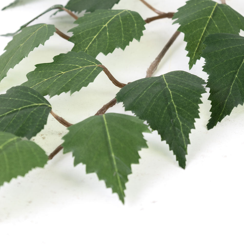 Birch Spray (Betula) Green, 64cm
