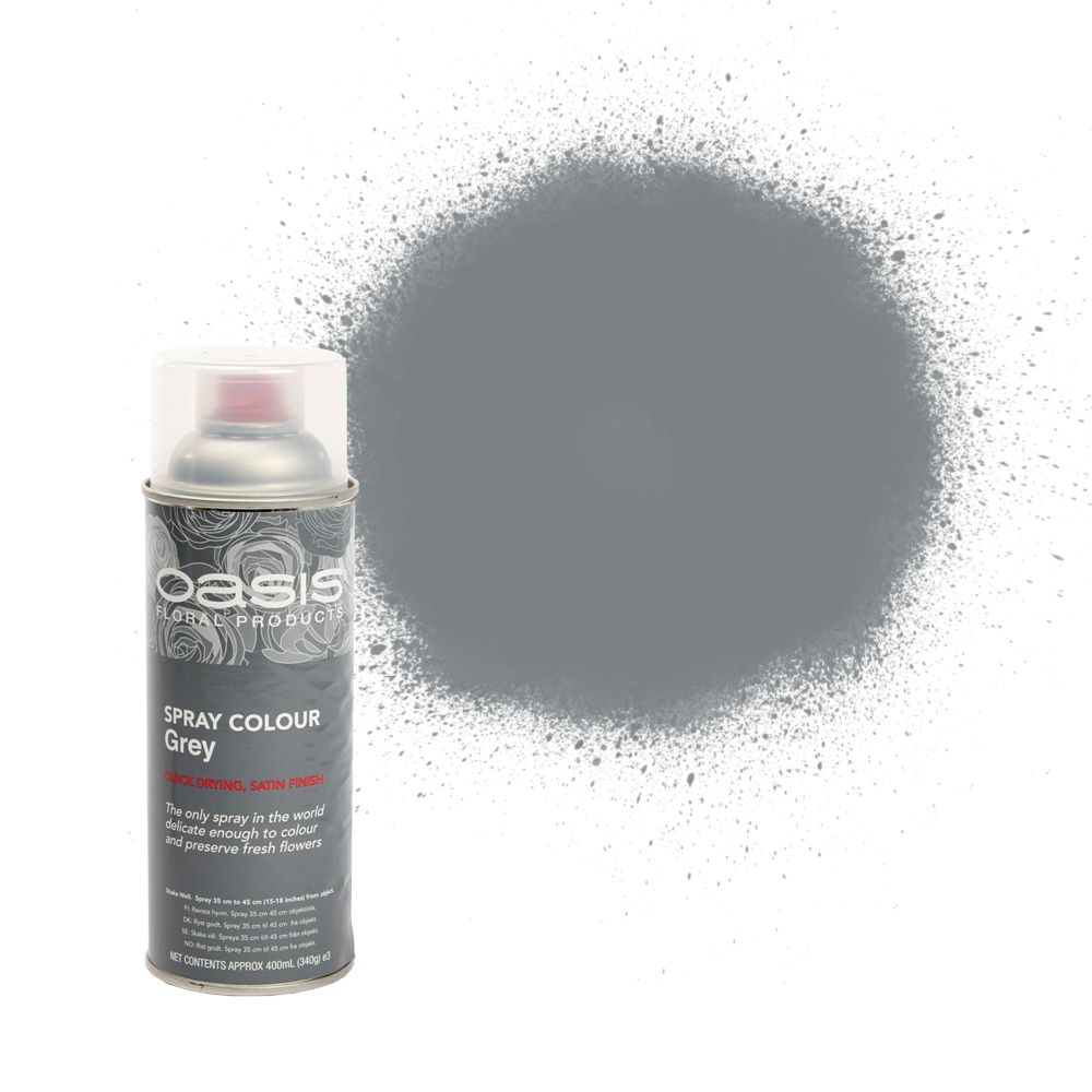 Oasis Spray Paint Flat Grey 400ml