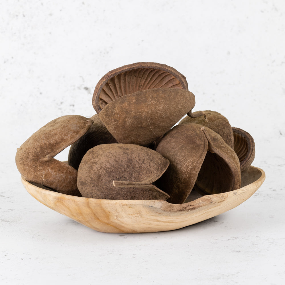 Buddha nut shells in a teak bowl