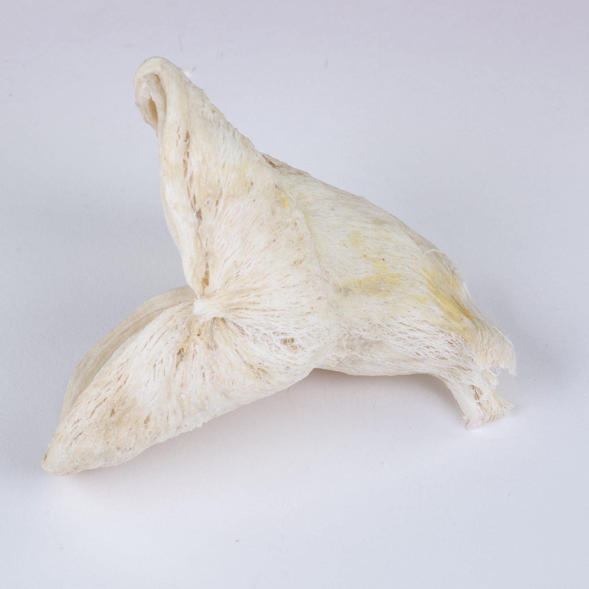 This image shows a box of bleached badam pods against a white background.