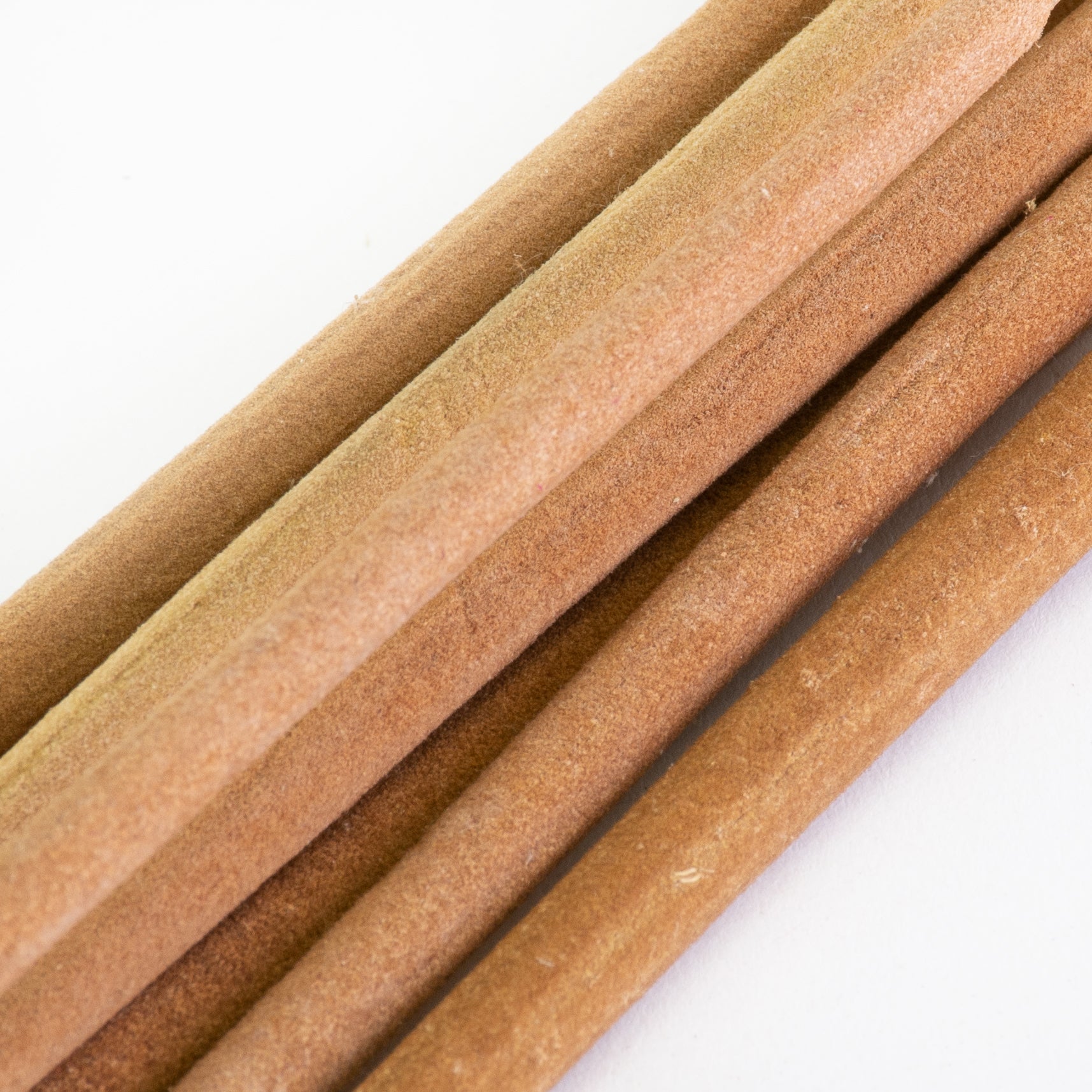 This image shows a bunch of natural coloured typha against a white background