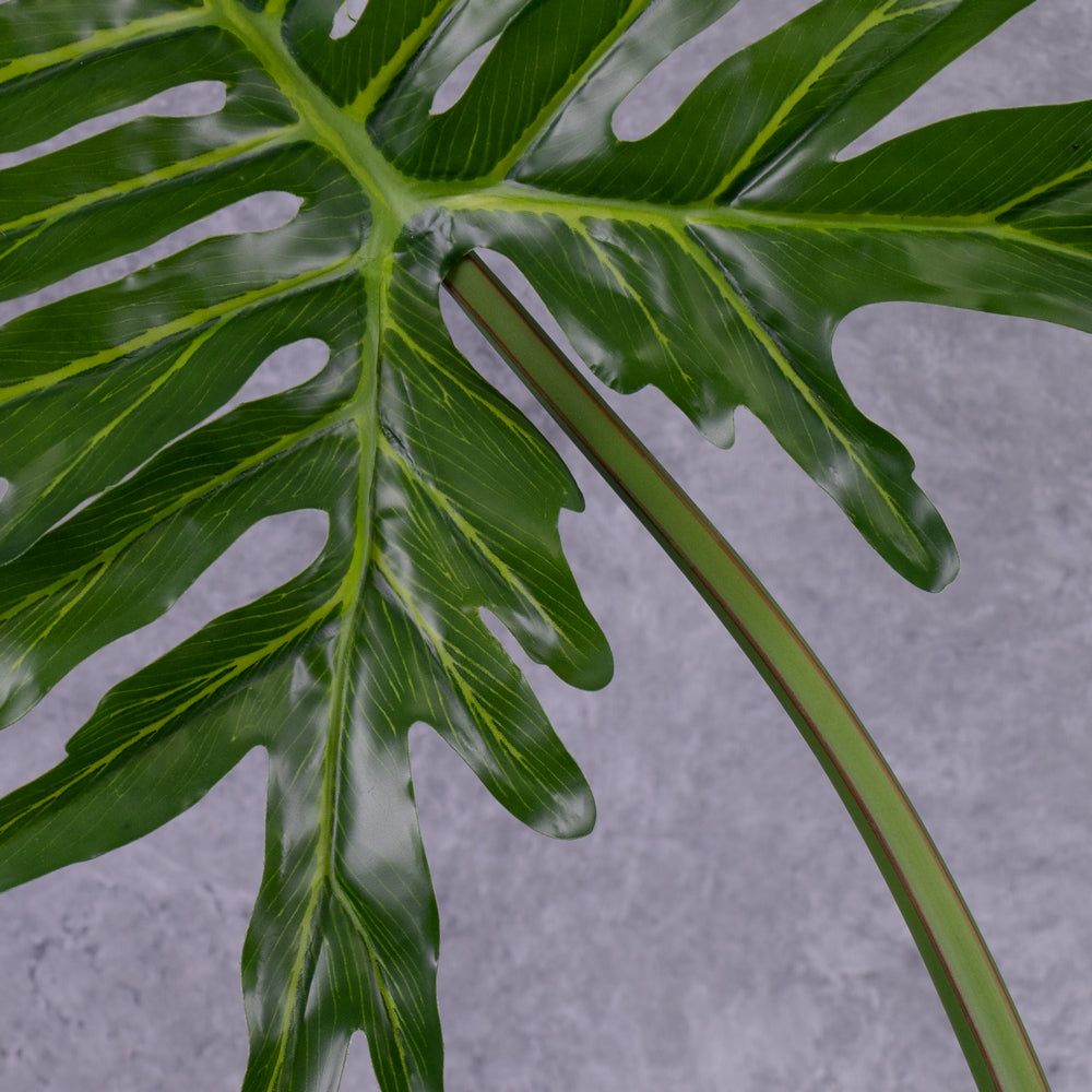A close up of a faux Philodendron selloum leaf