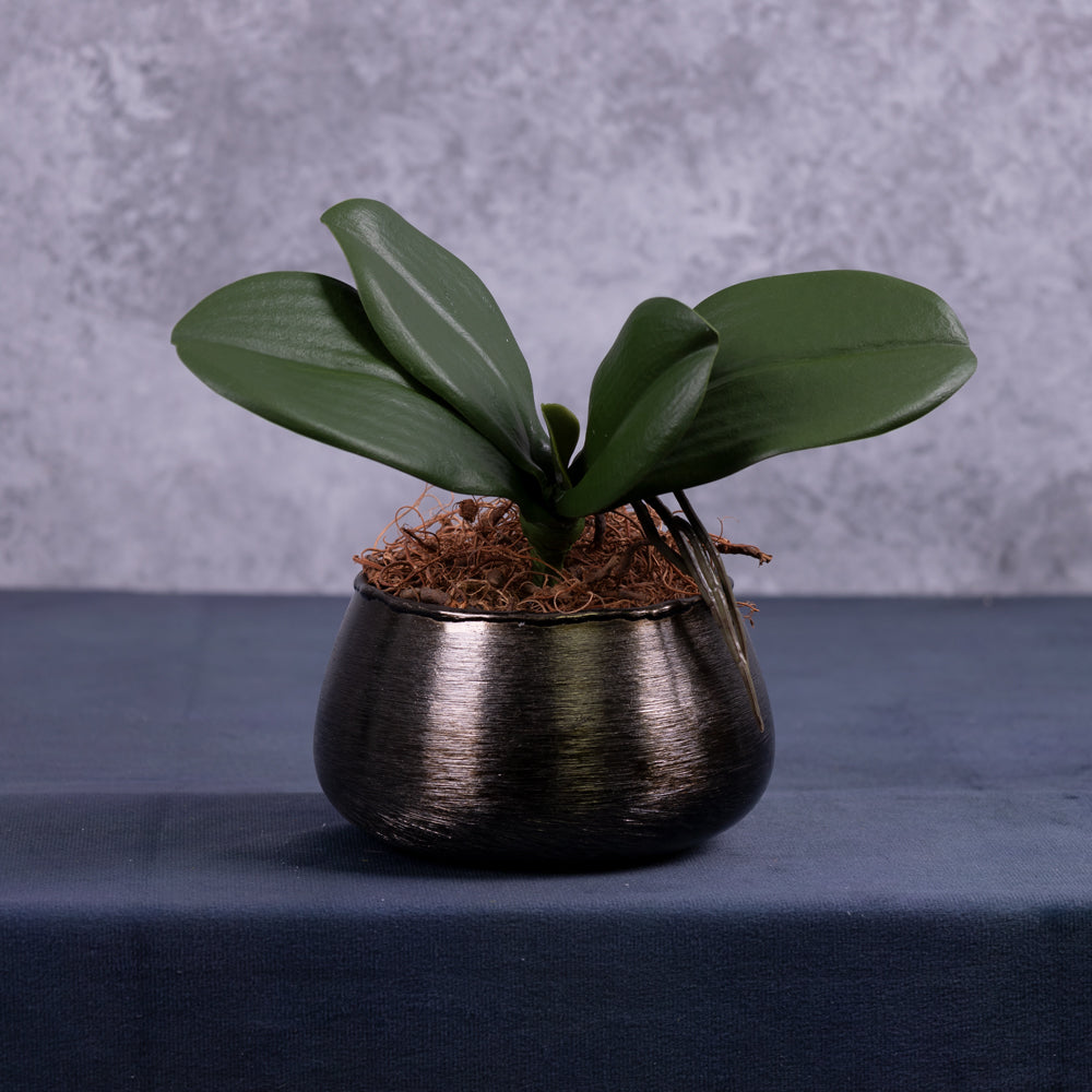 Artificial Orchid Leaves with Roots 22cm