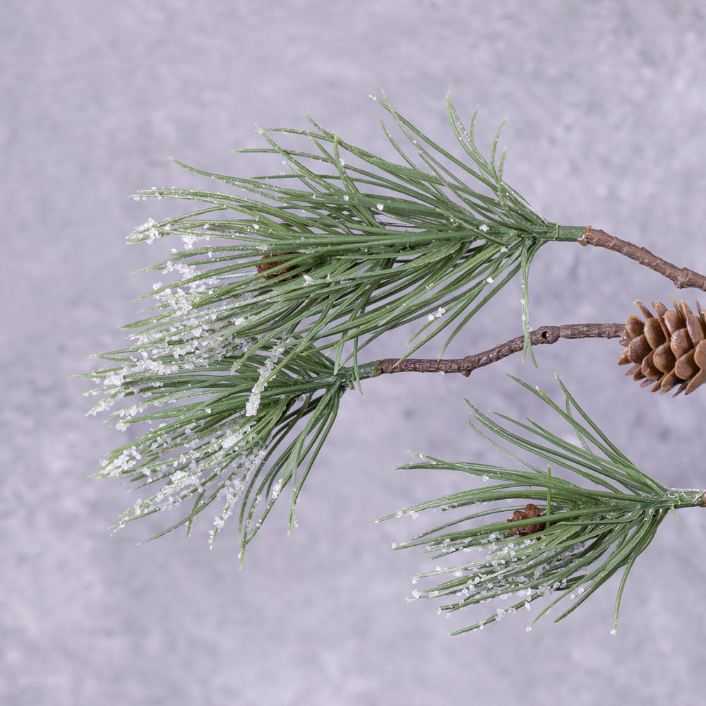 Pine Stem, Frosted, 81cm
